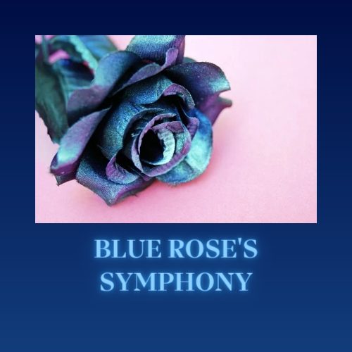 Prodavnica - Blue Rose